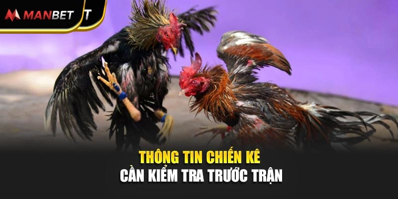 Thông tin chiến kê cần kiểm tra trước trận Thông tin chiến kê cần kiểm tra trước trận 